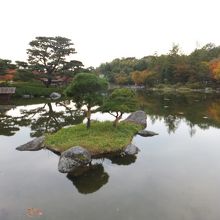 池に映る紅葉が綺麗です。