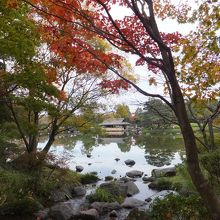 日本庭園　この辺りの紅葉が早いです