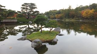 紅葉は始まっています。