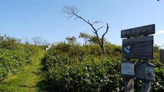 総じて眺めが良い。頂上付近が急なのぼりできつい。