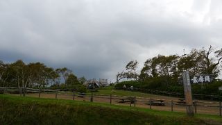 木々が生い茂り眺望が半減