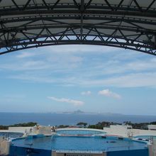 美ら海水族館