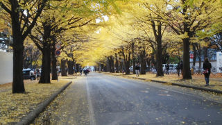 北の地の10月の紅葉