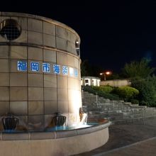 夜の散歩 By 夏ミカン シーサイドももち海浜公園のクチコミ フォートラベル