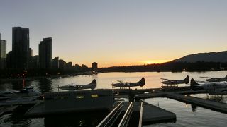 見るだけで楽しい