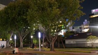 都会のオアシス