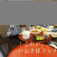 幼児に合うでしょうか？大半残しました。