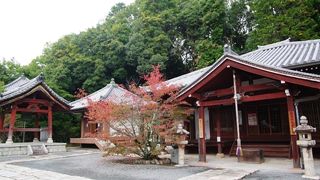 木造千手観音坐像