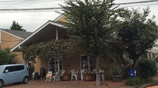 レストランが約15件