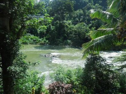 Honeypot Restaurant & Guest House 写真