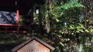 木々に囲まれた小さな神社 「本宮神社」