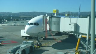 大きくないけどそんなに並ばず