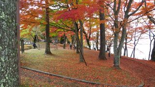 富士山と夕焼けのビューポイント