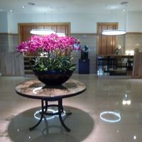 フロントはこじんまり