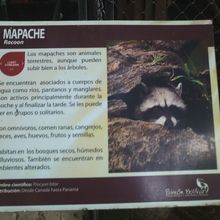 スペイン語オンリーの解説板の様子