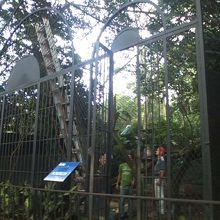 営業時間中でも普通に作業してたりします（笑）