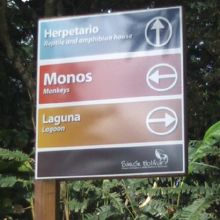 一応、こういう案内標識はあるんですけどね…