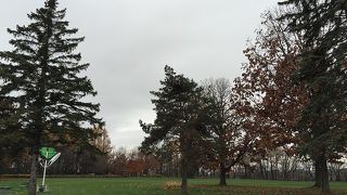 観光名所ではなく地元の公園