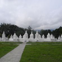 白い他とはちょっと違った雰囲気です。