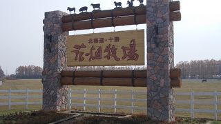 新しいガッカリスポットか