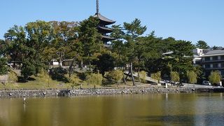 興福寺の五重の塔を見る絶好の場所