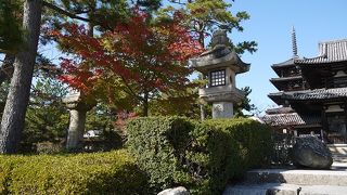 古都奈良の象徴的存在