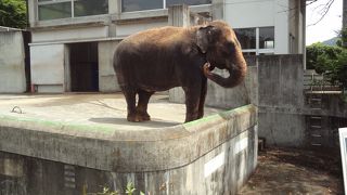 入場無料の動物園