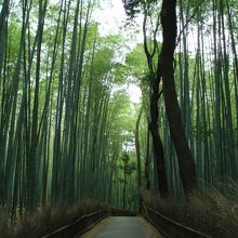 夕方になると人もいなくて・・・