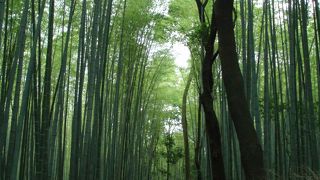 奥の方がお薦め！