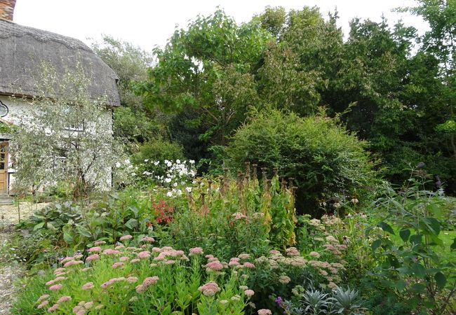 ケンブリッジ大学植物園