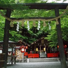 自然木を使った黒木鳥居