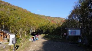 日本一早い紅葉を見る