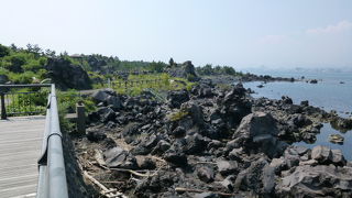 桜島一周のドライブの旅をしましょう、最高！