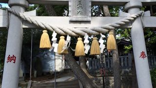 住宅地の中にある静かな神社