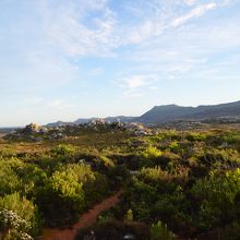 世界遺産のケープポイント植物群