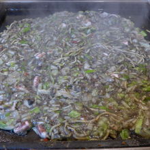 イカスミ入りのもんじゃ焼きです