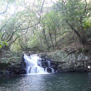 高地のない種子島では珍しい滝