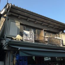 越後屋本店さんの屋根にもいました