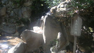 水滴が反射して輝いていました