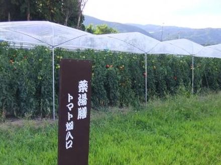 赤倉温泉　まつや旅館 写真