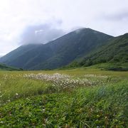 曲線の穏やかな山