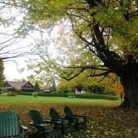 ゆっくり　のんびり　命の洗濯