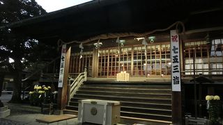 銀杏の実に注意