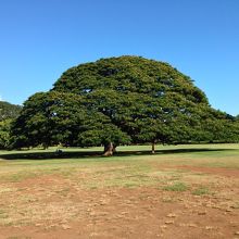 駐車場側から見た