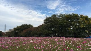 関西エリアで最大規模 ♪
