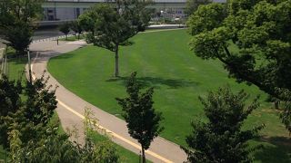 ゆっくりできる公園