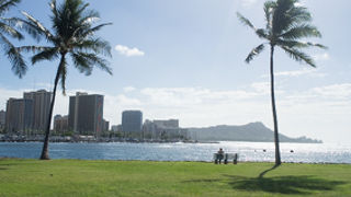 ワイキキビーチを望む　すてきなウェディングフォトスポット