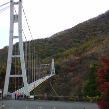 スカイブリッジへ