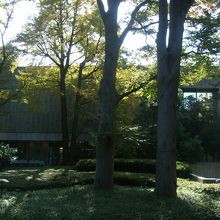 広い窓からの景色が素敵でした