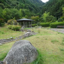 池には鯉や金魚が泳いでいます。竹林もあります。